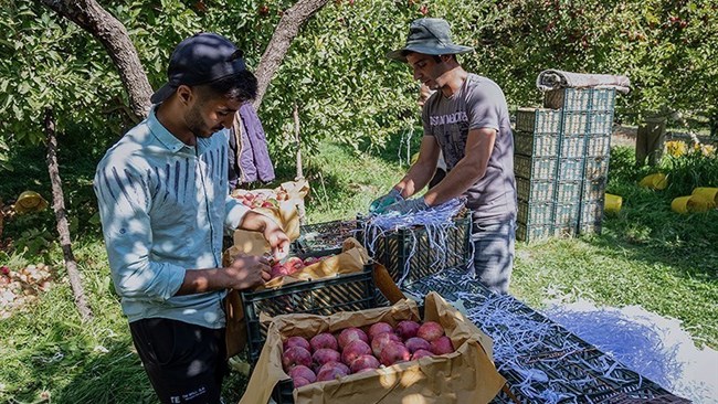 مع إدخال قوانین مرهقة على التجار الإیرانیین من قبل أذربیجان، یقوم المصدرون الإیرانیون بتصدیر منتجاتهم إلى روسیا من الحدود الأرمینیة.