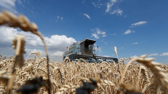 اعترف رئیس الاتحاد الوطنی للمنتجات الزراعیة الإیرانیة بأن الحرب فی أوکرانیا أعاقت الزراعة الإیرانیة فی الخارج فی الدولة الواقعة فی أوروبا الشرقیة.