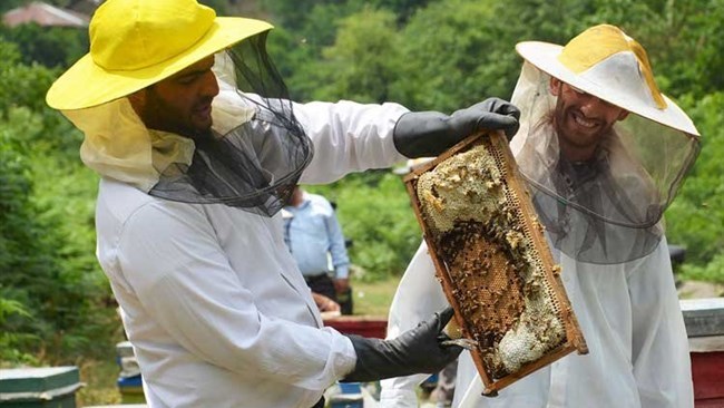 ستورد إیران شحنة کبیرة من العسل إلى الصین فی المستقبل القریب، وهی الأولى من نوعها لصناعة العسل فی البلاد.