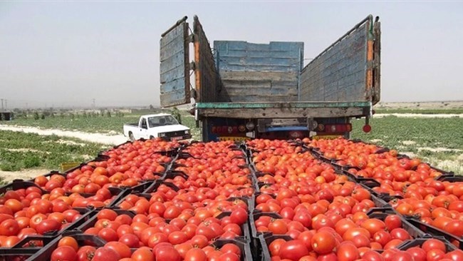 ارتفعت قیمة الصادرات الزراعیة الإیرانیة بنسبة 28% فی الأشهر السبعة الأولى من العام التقویمی الحالی (20 مارس – 21 أکتوبر)، لتصل إلى 2.2 ملیار دولار، بحسب إدارة الجمارک فی الجمهوریة الإسلامیة الإیرانیة.