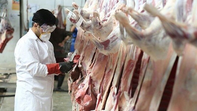 زیادة بنسبة 47٪ مقارنة بالعام الماضی، والتی تشمل ما مجموعه 52800 طن من اللحوم الحمراء فی المسالخ الرسمیة فی إیران فی وقت ۲۱ نوفمبر.