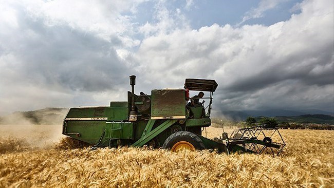 من المتوقع أن ینتج المزارعون الإیرانیون ما یصل إلى 12 ملیون طن متری من القمح فی موسم المحاصیل الحالی، وفقًا لشخص مطلع على الأمر.